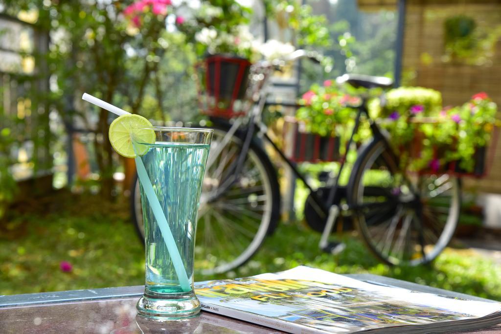 Mistletoe Homestay & Cafe Муннар Екстер'єр фото